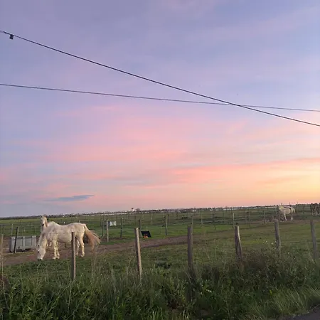 Campeggio Le Des Reves Lattes