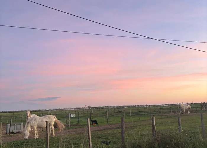 Campingplatz Le Des Reves Lattes